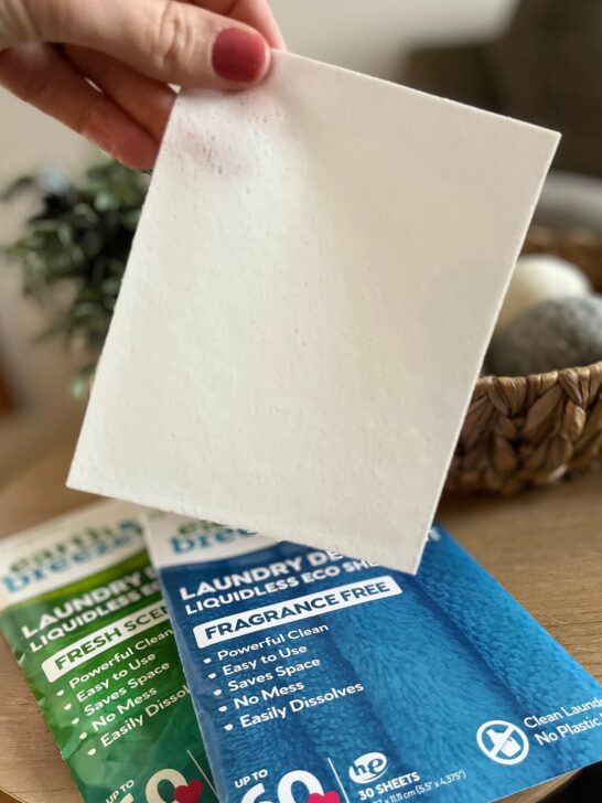 Earthbreeze Laundry Sheets Reviews