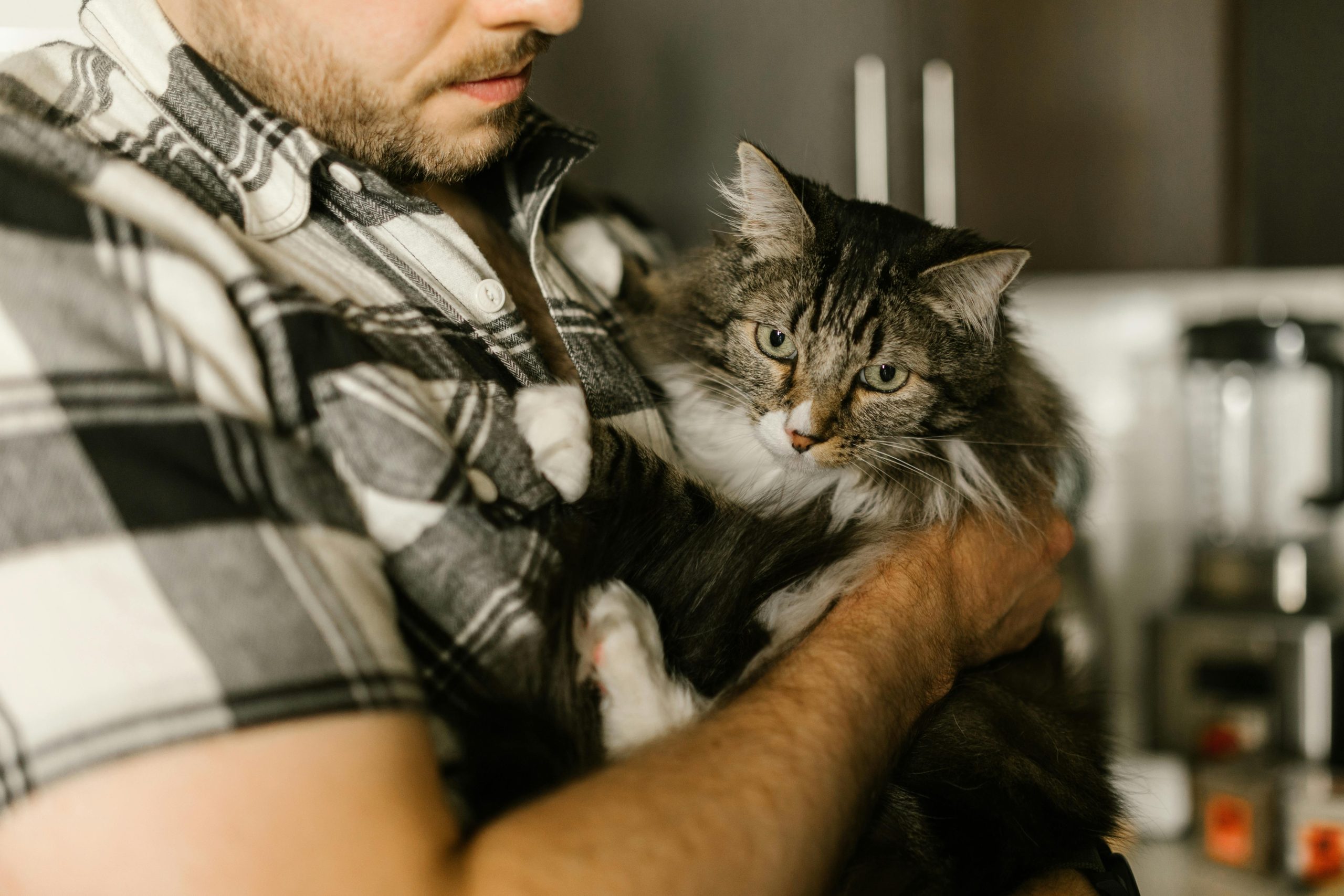 best vacuum for pet hair