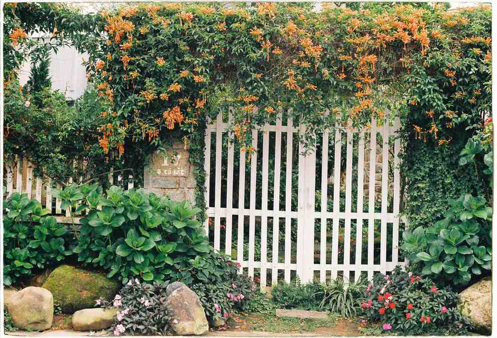 garden fence