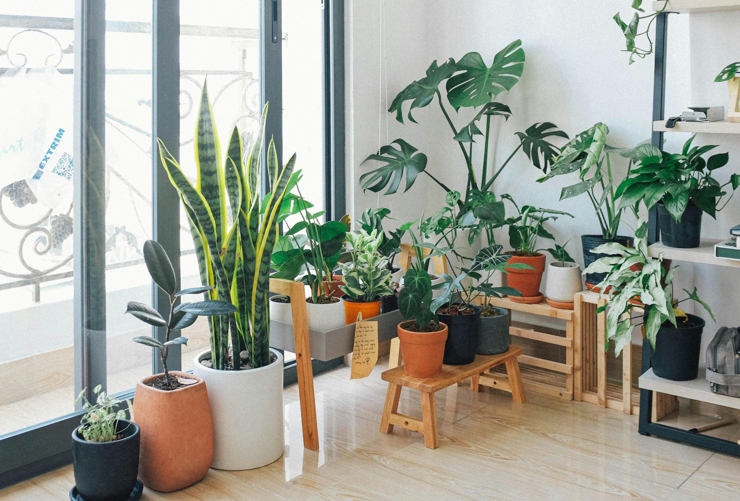 Explore the Best Plant Stand Indoor